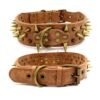 10928983055_793292559.jpg Spike Rivet Dog Collar