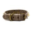 10957223260_793292559.jpg Spike Rivet Dog Collar
