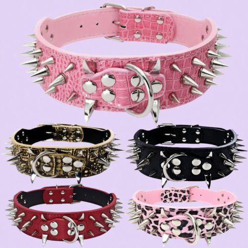 1762853234.png Anti-Bite Rivet Dog Collar Rope