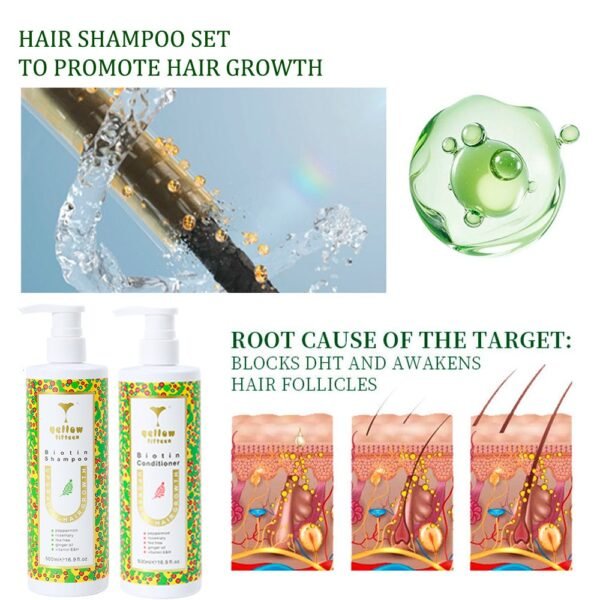 OEM Anti-Hair Fall Biotin Shampoo