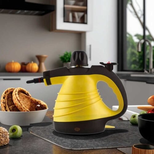 High-Temp Handheld Outdoor Steam Cleaner