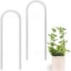 Clear Acrylic Plant Support Trellis