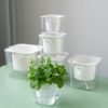 Transparent Self-Watering Resin Planter