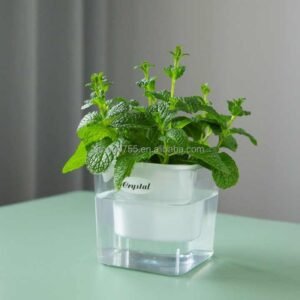 Transparent Self-Watering Resin Planter