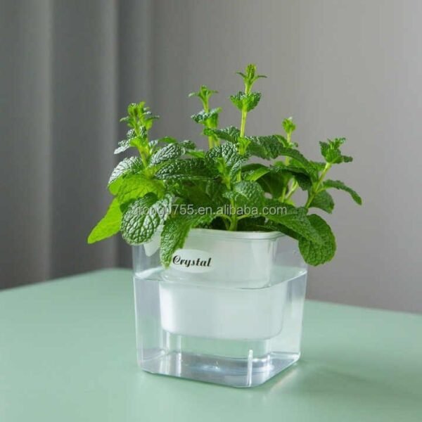 Transparent Self-Watering Resin Planter