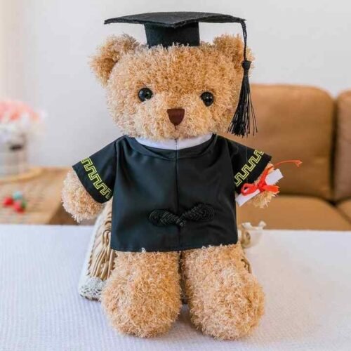 Graduation Plush Teddy Bear Gift