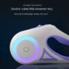 Glowing Retractable LED Dog Leash